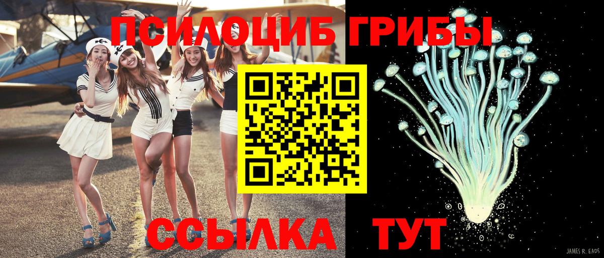 Волоколамск  Галлюциногенные грибы Psilocybe  Вход с VPN 