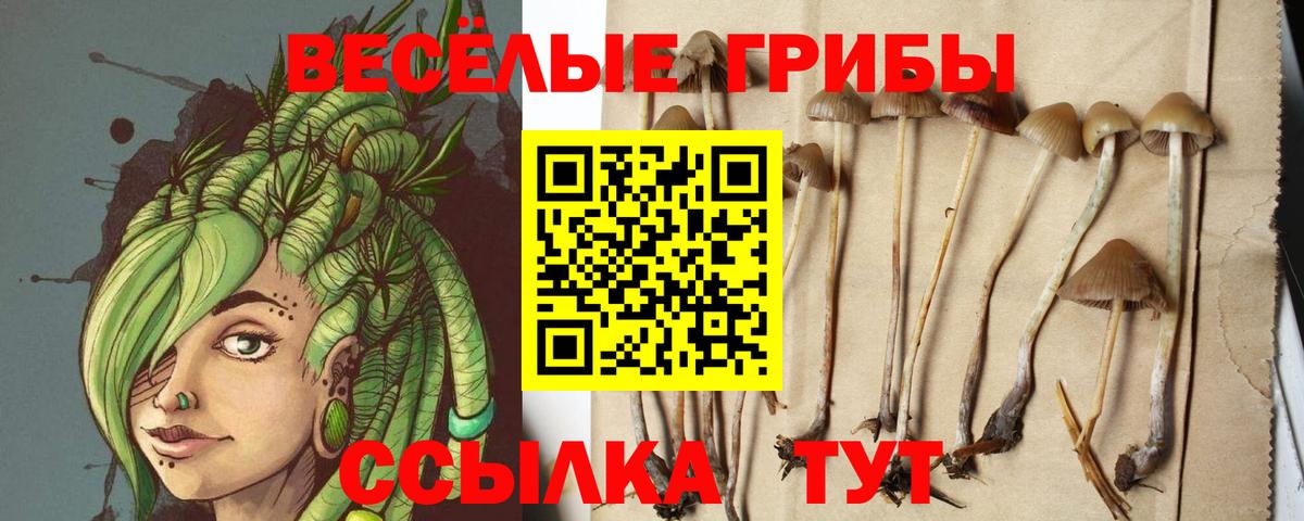 Псилоцибиновые грибы мицелий Волоколамск